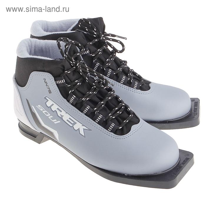 Ботинки лыжные  TREK Soul ИК (серый металик,лого сиреневый) р.31ИК47-24-27