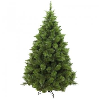 Сосна "Лапландия" 1,5 м.