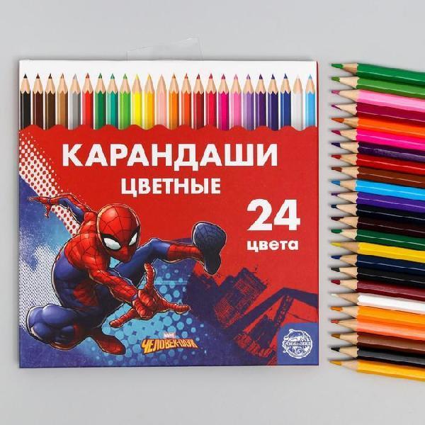 Карандаши цветные 24 цвета, двухсторонние "Супергерой", Человек-Паук   5012643