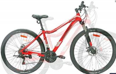 Велосипед 29" Nameless J9500DW,красный/белый,17"