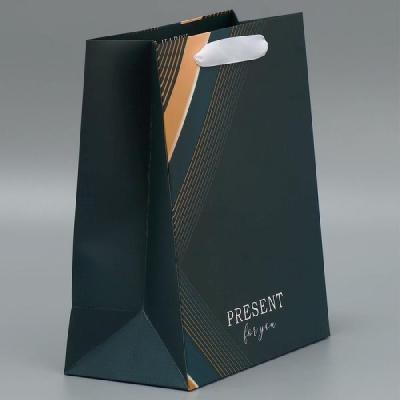 Пакет ламинированный вертикальный Present for you, ML 23 × 27 × 11,5 см   4725148